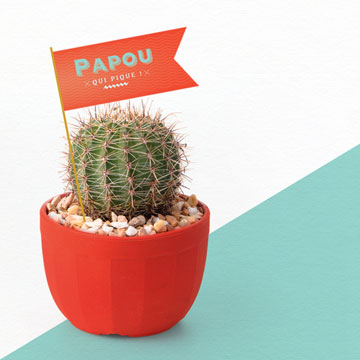 vignettes_carre_papou-box